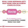 ROYAL CANIN Maine Coon Kitten - dry cat food - 2 kg