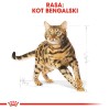 Royal Canin Bengal Adult cats dry food 2 kg Poultry, Vegetable