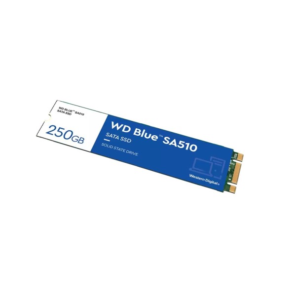 Western Digital Blue SA510 250 GB ...