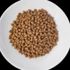 VET RESPONSE Renal - dry dog food - 1,6kg