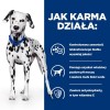 HILL'S PRESCRIPTION DIET Urinary Care Canine u/d Dry dog food 10 kg