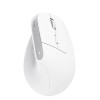 MOUSE USB OPTICAL WRL BAYO+/ERGONOMIC WHT 25399 TRUST