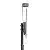 GEMBIRD Height adjustable TV floor stand