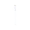 Apple Lightning to USB Cable (1m) | Apple