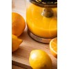 ADLER AD 4012 CITRUS SQUEEZER