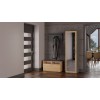 Topeshop DUO SZAFA ANT/ART KP bedroom wardrobe/closet 2 shelves 1 door(s)