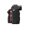 Sony Alpha 7 Mark III BODY | Sony