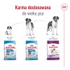 ROYAL CANIN Giant Adult - dry dog food - 15 kg