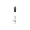 Natec | Microphone | GENESIS Radium 251 | Built-in microphone | USB Type-C | Black