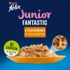 Felix Fanstastic Junior - wet cat food - 85 g