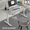 DESK FRAME MOTORISED/WHITE WDF221E-W ONKRON