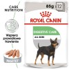 ROYAL CANIN CCN DIGESTIVE CARE LOAF - wet food for adult dogs - 12x85g