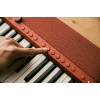 Casio CT-S1 Digital synthesizer 61 Red