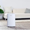 Taurus Pleasant Unique 22l Dehumidifier