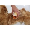 KERBL MagicBrush Bath Brush for Dogs and Cats with 100 ml Container - 11.5x7.5 cm