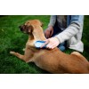 KERBL MagicBrush Blue Sky - dog brush - 16,5x6,5x3 cm