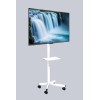 TV SET ACC FLOOR STAND 32-55