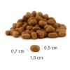 PLATINUM MeatCrisp Adult Fish - dry cat food - 3kg