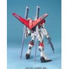 MG 1/100 SWORD IMPULSE GUNDAM BL
