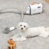 MPM MOD-100 HOME CARE DEVICE FOR DOGS AND CATS