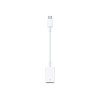 Apple | USB-C to USB Adapter