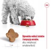 ROYAL CANIN Mini Adult +8 - dry dog food - 2 kg