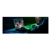 Razer Blade 16 | Black | 16 