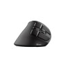 MOUSE USB OPTICAL ERGONOMIC/VOXX 23731 TRUST