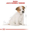 Royal Canin SHN Breed Jack Russell Junior - Dry dog food Poultry,Rice - 3 kg