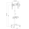 Maclean MC-949 TV Cart, Stand, Professional,32-55", on Casters, max. VESA 400x400, max. 25kg