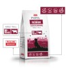PUPIL PREMIUM M&L bogata w wołowinę  12kg