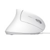 Trust Verto mouse Office Right-hand USB Type-A Optical 1600 DPI