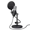 MICROPHONE GXT 252 EMITA/21753 TRUST