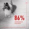ROYAL CANIN Supplements Dog Skin & Coat Adult - dog vitamins - 240g