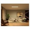 Philips Hue Surimu Panel REC | Philips Hue
