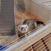 FERPLAST Furet Tower - Cage