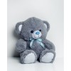 TOMMY bear 65 cm grey