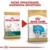 ROYAL CANIN Golden Retriever Puppy - dry dog food - 12 kg