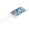 Apple Lightning to USB Cable (1m) | Apple