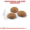 Royal Canin Outdoor dry cat food 2 kg