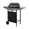 2-burners gas barbecue Teesa BBQ 2000