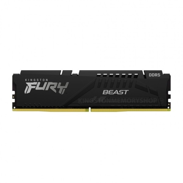 Kingston | 16 GB | DDR5 ...