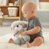 Fisher-Price Soothe 'N Snuggle Otter