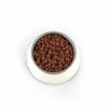 PUPIL PREMIUM M&L bogata w jagnięcinę 12kg