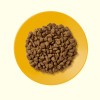 Applaws 5060122491419 cats dry food 2 kg Kitten Chicken