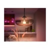 Hue WCA 13.5W A67 E27 | E27 | 13.5 W | RGBW 2000-6500K | Bluetooth and Zigbee