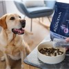 ADDVENA Power of Nature Senior Medium/Large Lamb - dry dog food - 2,5kg