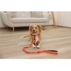 KERBL Puno Reflective Dog Collar - Orange - 46-55 cm