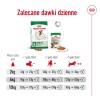 ROYAL CANIN Adult Mini S - dry dog food - 2kg