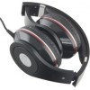 Esperanza EH141K headphones/headset Head-band Black